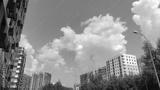 preview bw