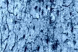 preview cold