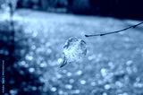 preview cold