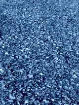 preview cold