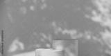 preview bw