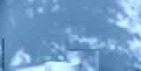 preview cold