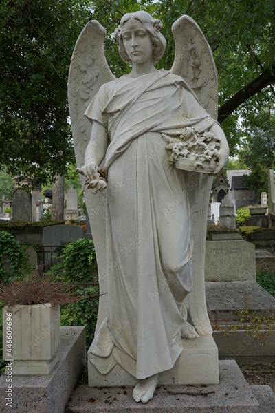 image to crop