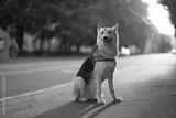 preview bw