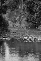 preview bw