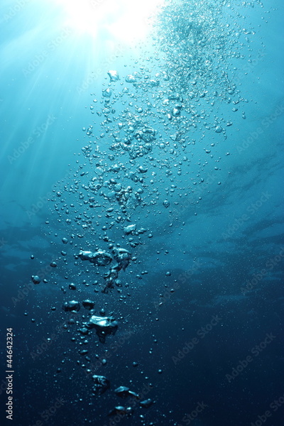 image to crop