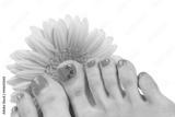 preview bw