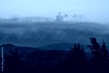 preview cold