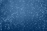 preview cold