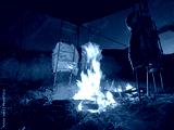 preview cold