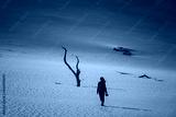 preview cold