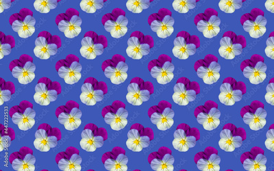 image to crop