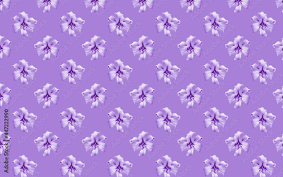 image to crop