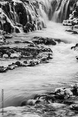 preview bw