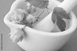 preview bw