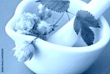 preview cold