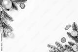 preview bw