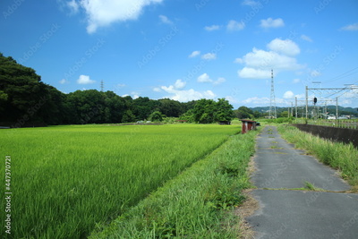 image to crop
