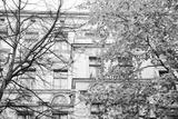 preview bw