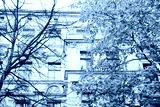 preview cold