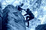 preview cold