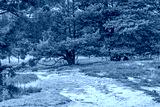 preview cold