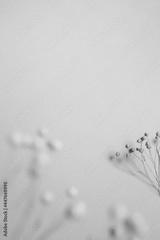 preview bw