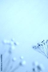 preview cold