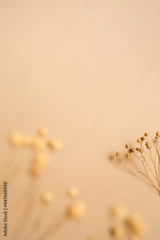 preview original