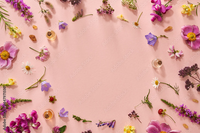image to crop
