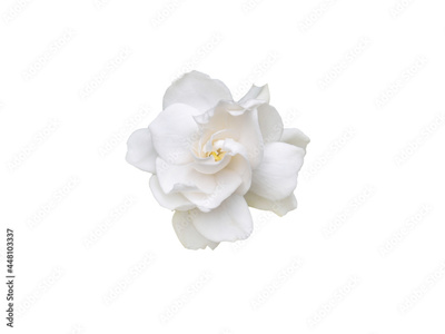 image to crop