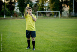preview original