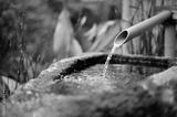 preview bw