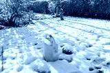 preview cold