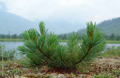 image to crop