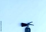 preview cold