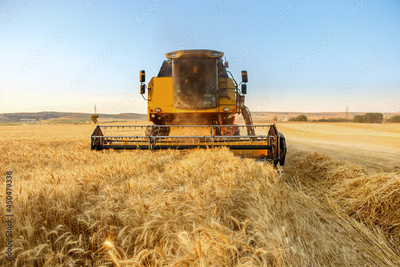 image to crop