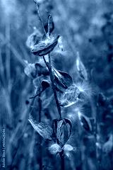 preview cold