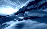 preview cold