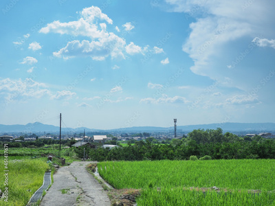 image to crop