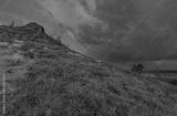preview bw