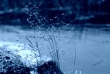 preview cold