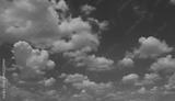 preview bw