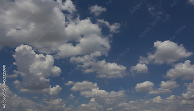 image to crop
