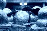 preview cold
