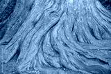 preview cold