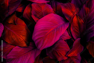 image to crop