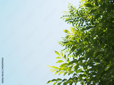 image to crop