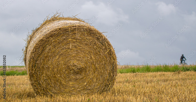 image to crop
