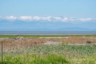 image to crop